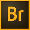 Adobe Bridge for Windows 7