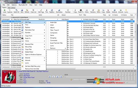 Screenshot Mp3tag for Windows 7