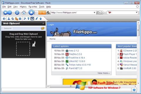 Screenshot Flock for Windows 7