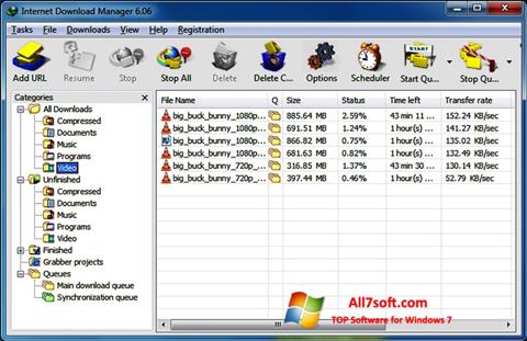 Screenshot Internet Download Manager for Windows 7