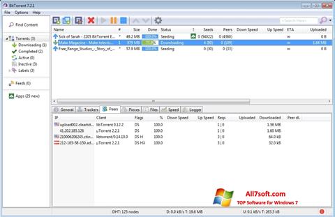 Screenshot BitTorrent for Windows 7