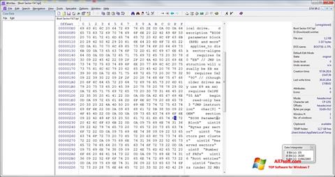 Screenshot WinHex for Windows 7