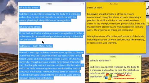 Screenshot Simple Sticky Notes for Windows 7
