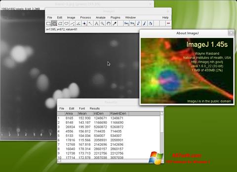 Screenshot ImageJ for Windows 7