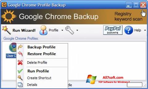 Screenshot Google Chrome Backup for Windows 7
