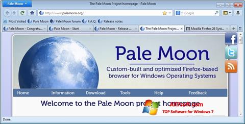 Screenshot Pale Moon for Windows 7