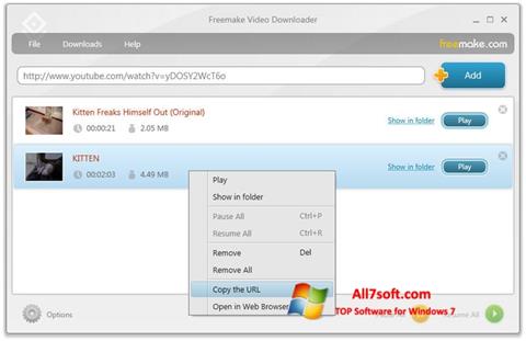 Screenshot Freemake Video Downloader for Windows 7